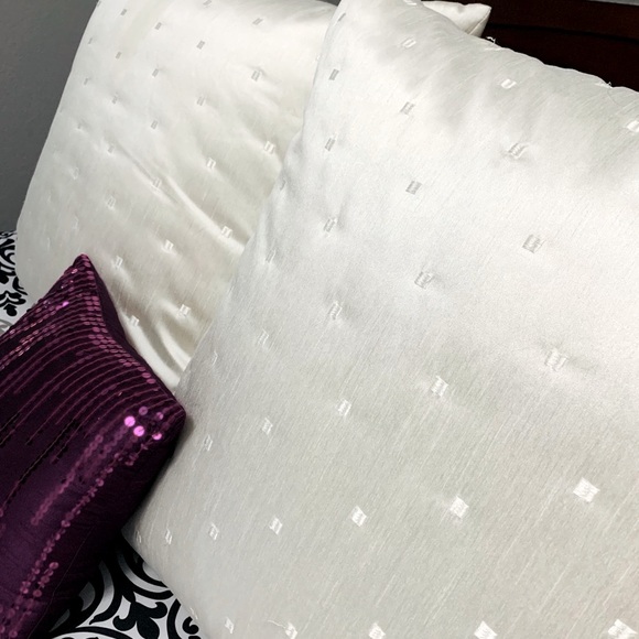 ***SOLD****2 Down filled European pillows & Sham covers - Picture 3 of 6